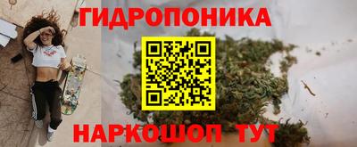 амф Лесосибирск