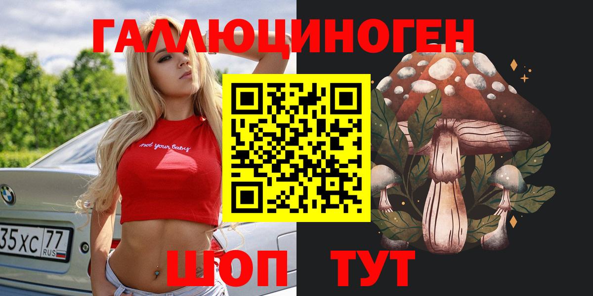 Псилоцибиновые грибы Psilocybe Истра