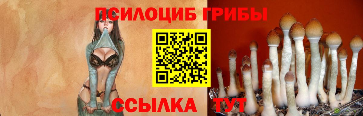 Псилоцибиновые грибы ЛСД  Псилоцибиновые грибы Cubensis  Истра  Вход с VPN 